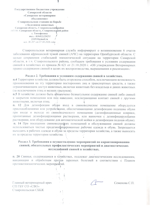 Требование к условиям содержания свиней в хозяйствах