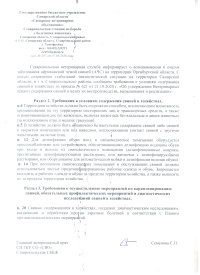 Требование к условиям содержания свиней в хозяйствах
